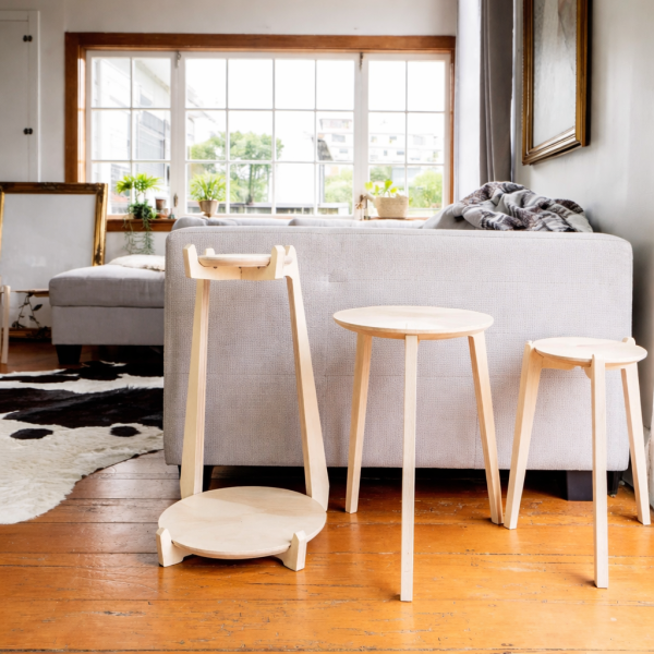 Minimalist Indoor Plant Stand