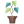 plant-pot